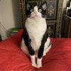 theresa_schliep